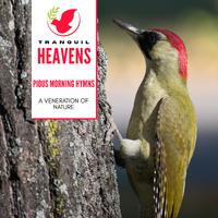 Pious Morning Hymns - A Veneration of Nature