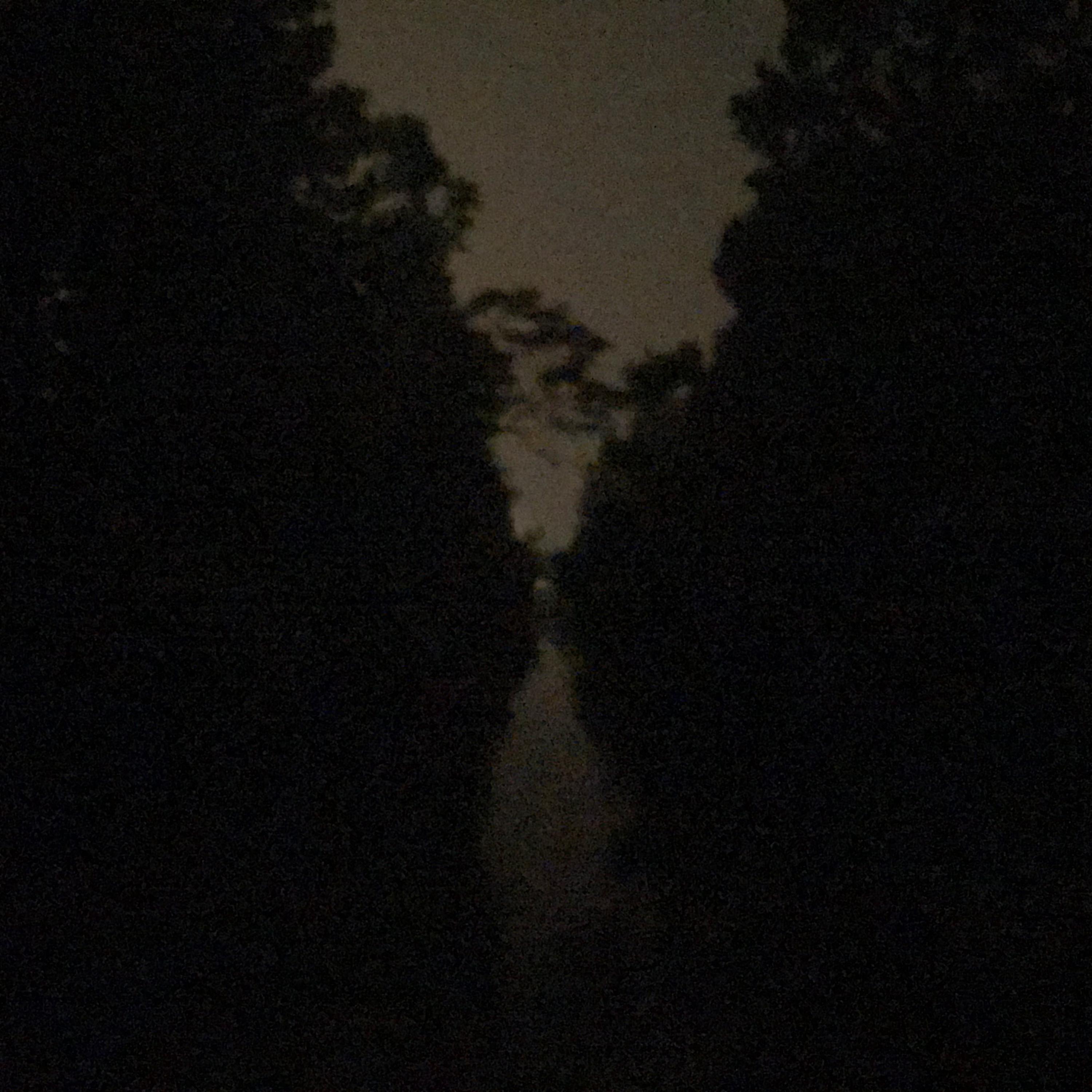 i was on the phone with you while you were in your room crying over something sad and i don't even remember what it was now because i was in mine having a panic attack but i stayed quiet and that was the last time i felt like you were my friend.