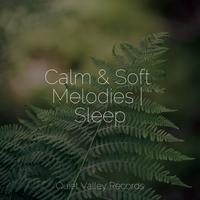 Calm & Soft Melodies | Sleep