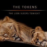 The Lion Sleeps Tonight