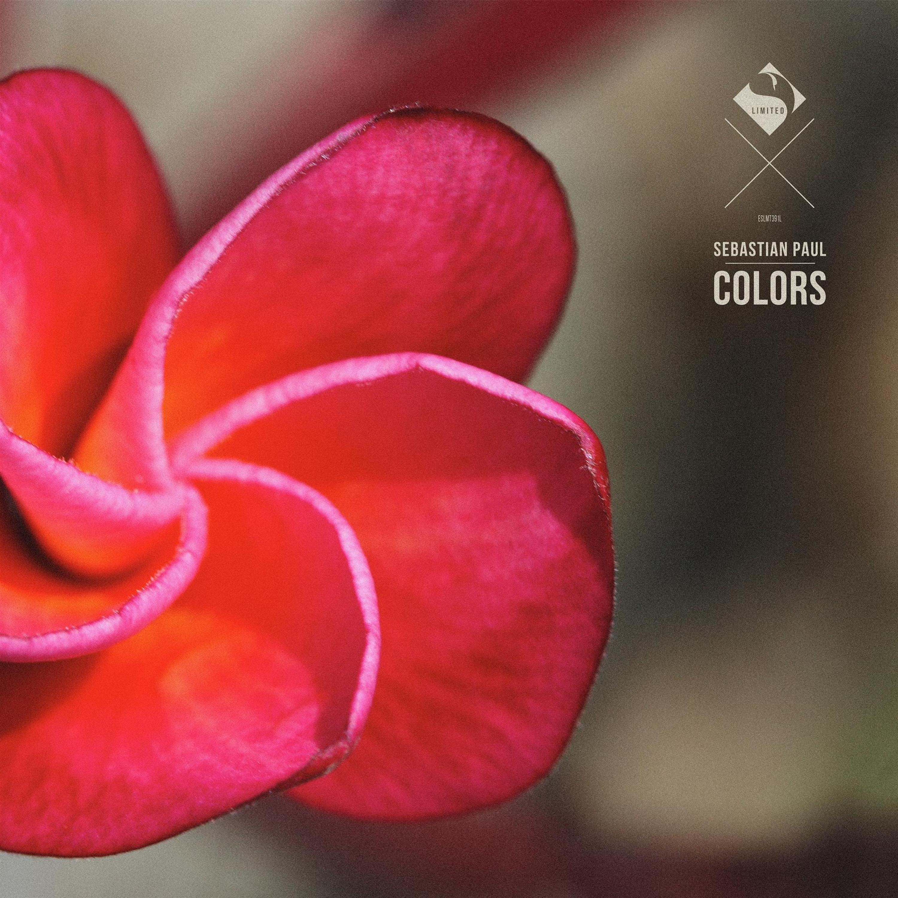 Icedive (Original Mix)