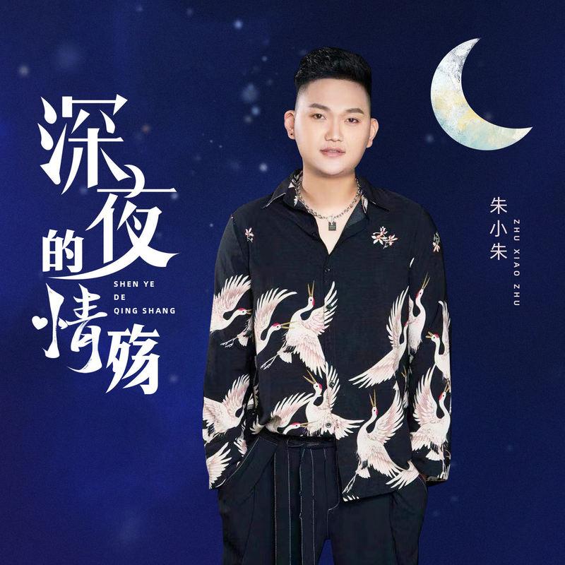 深夜的情殇封面