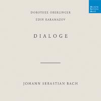 Concerto in D Minor, BWV 974, after Oboe Concerto, S.Z799 by Alessandro Marcello (Arr. for Recorder & Lute)/II. Adagio