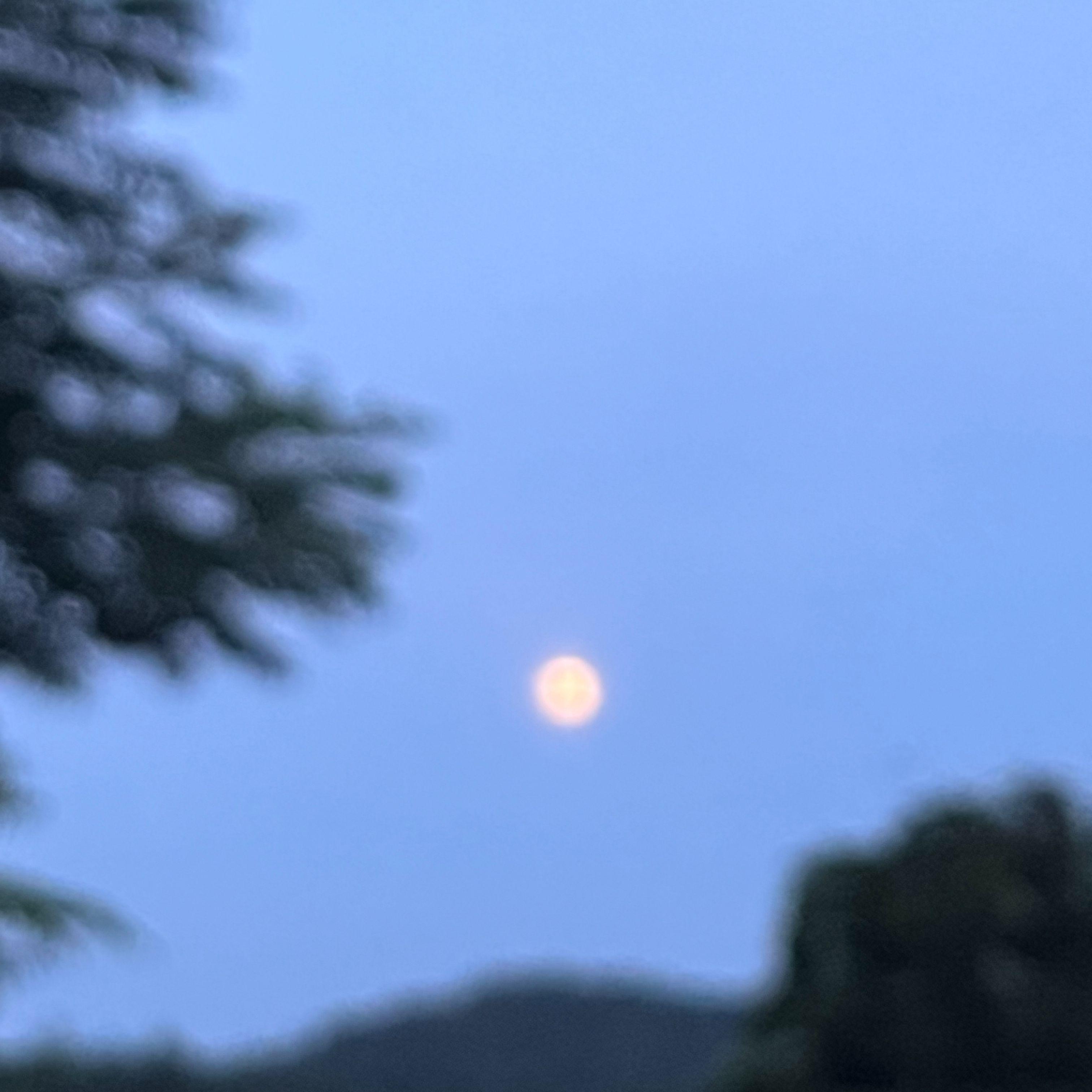 没语季节（cover：黄霄雲） - 白天睡不醒封面