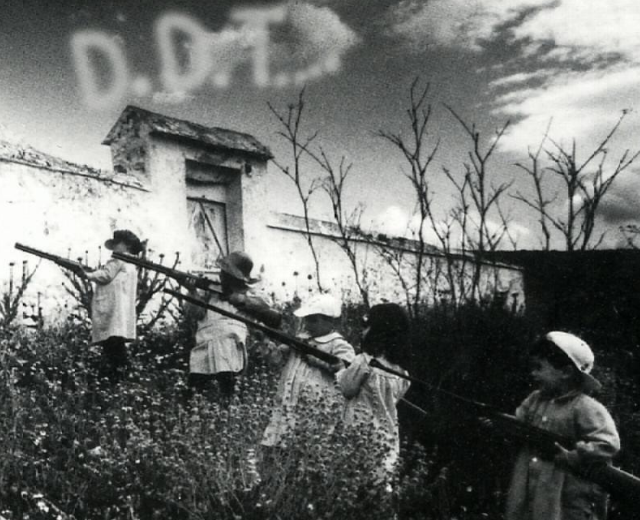 DDT