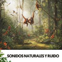 Sonidos Naturales y Ruido: Symphony of Earth's Melodies