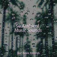 50 Ambient Music Sounds