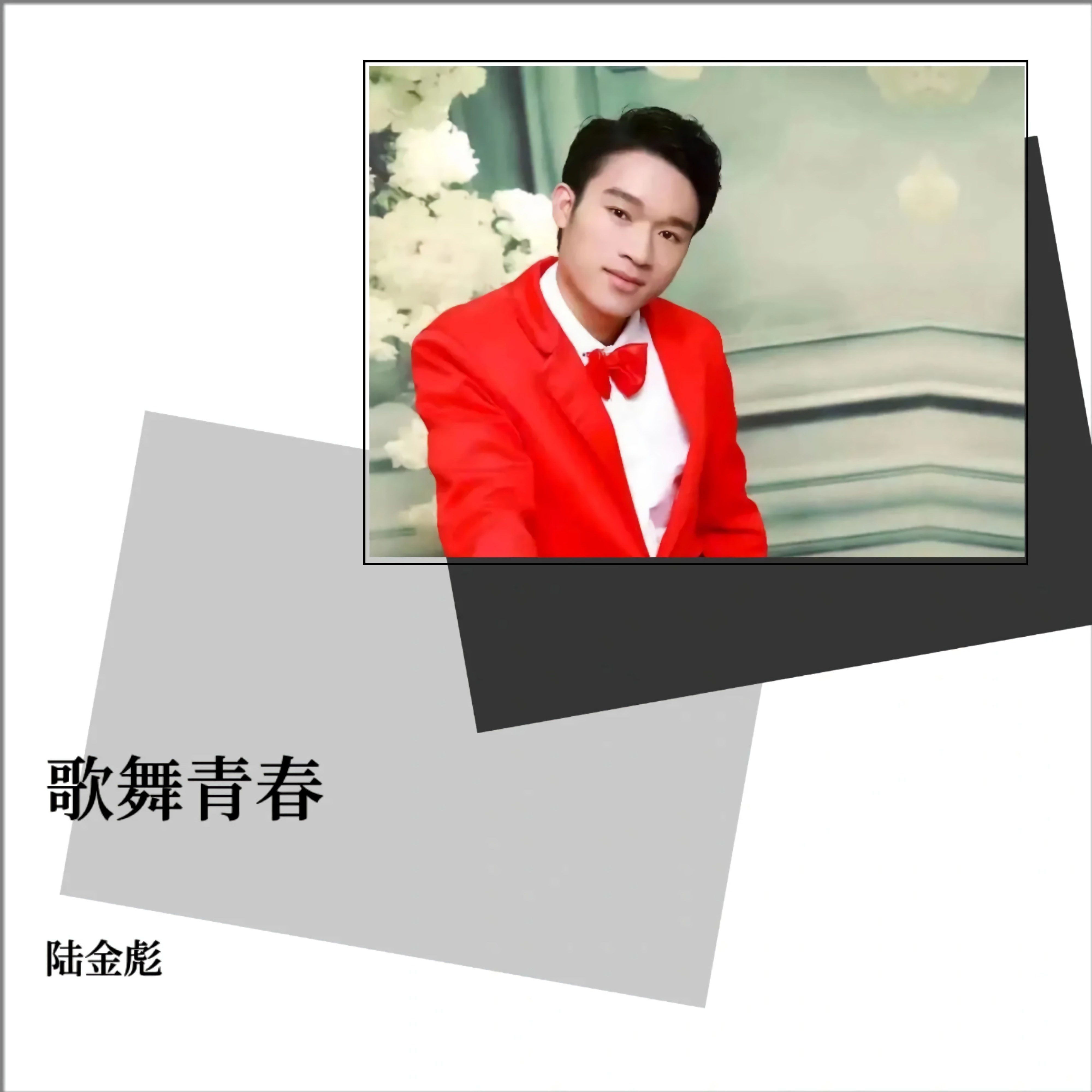 歌舞青春 - 陆金彪封面