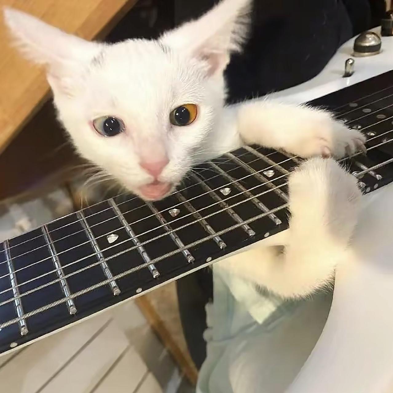 ♪( ´▽｀):::happy*ooo