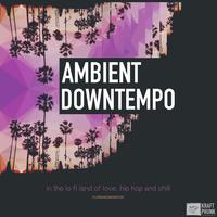 Ambient Downtempo in the Lo Fi Land of Love, Hip Hop and Chill