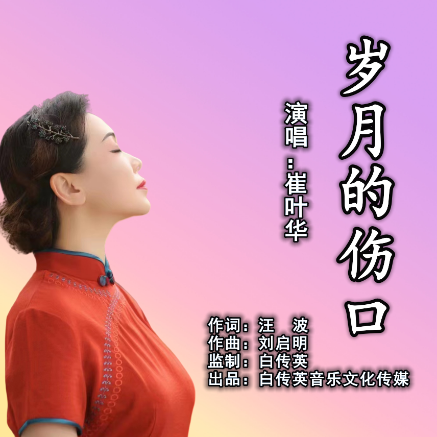 岁月的伤口封面