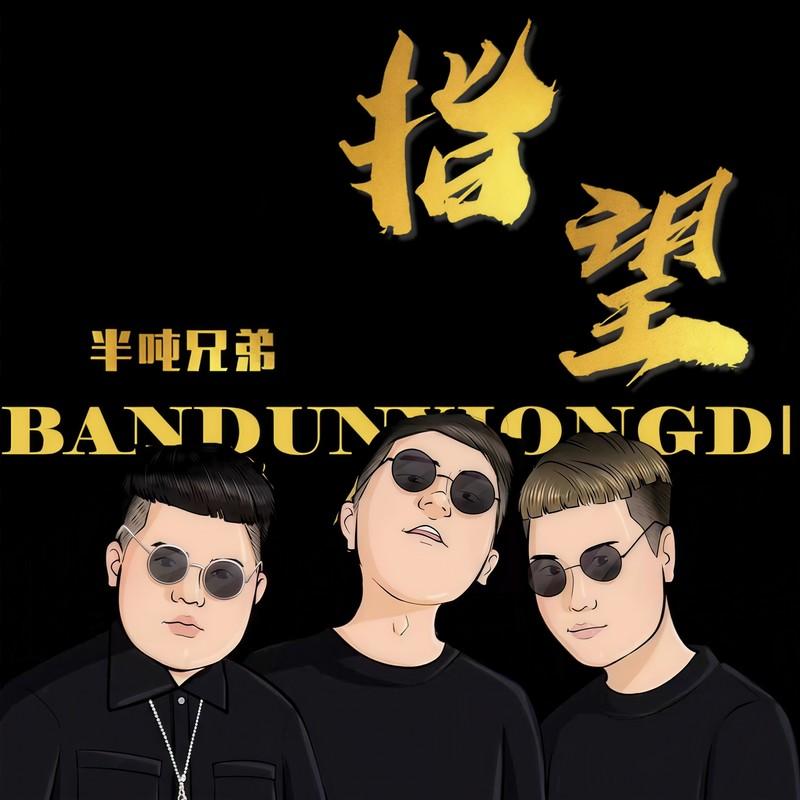 指望 (DJ默涵版) - 半吨兄弟封面