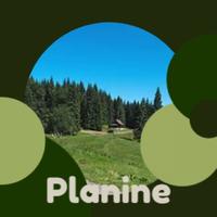 Planine