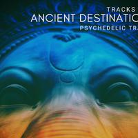 Goa Trance Fest Project