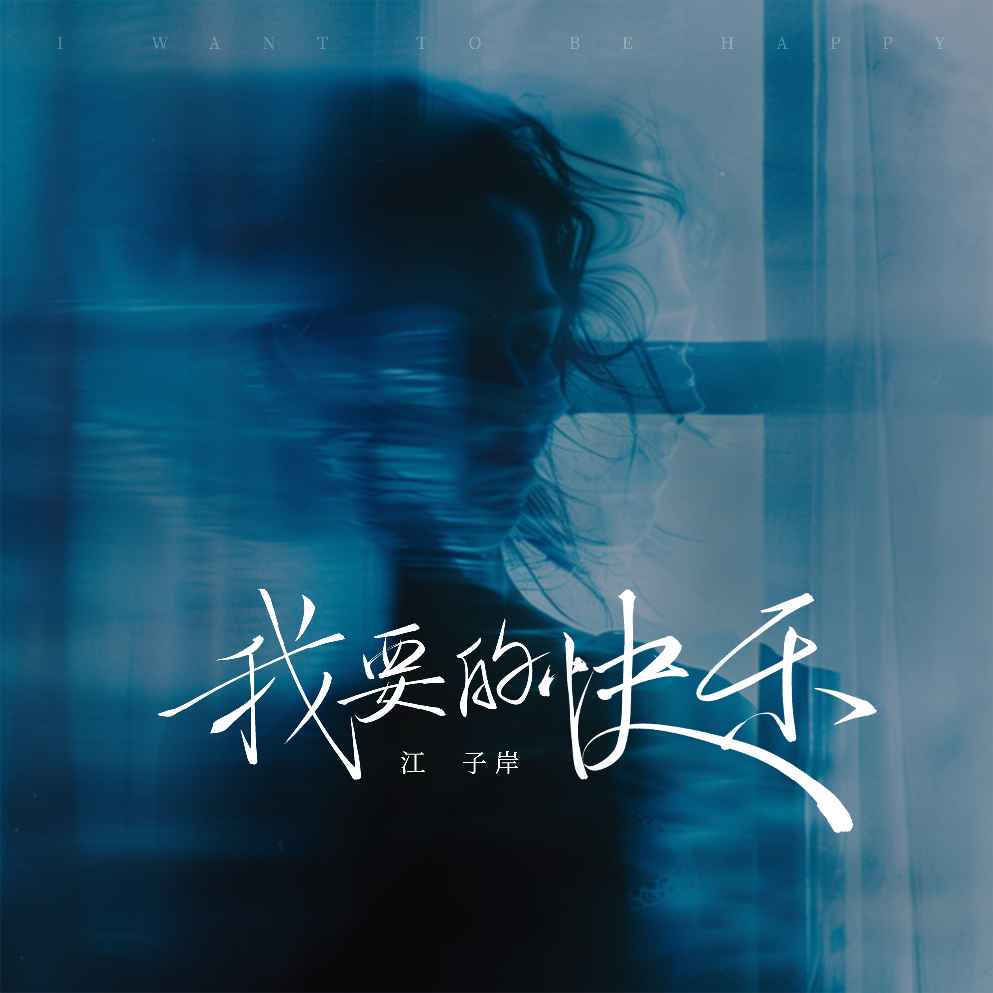 我要的快乐(伴奏) - 江子岸封面
