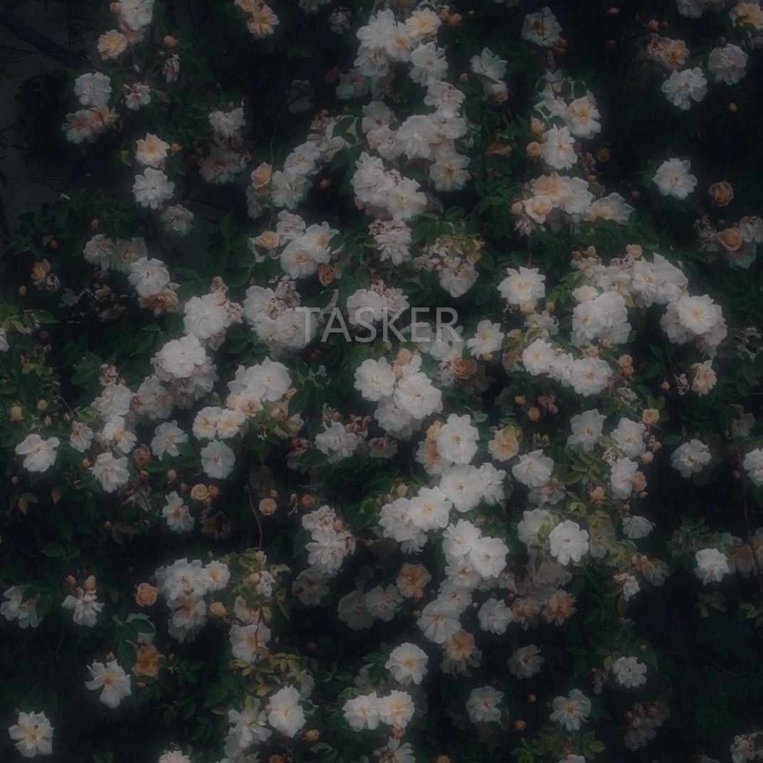 遗失在某个角落的demo