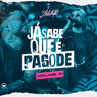 Já Sabe Que É Pagode, Vol. 1 (Ao Vivo)