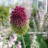 Summer Club Tunes 2016