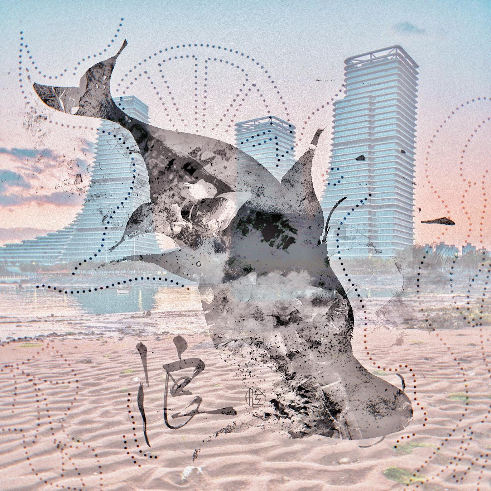 浪_橙汁本色_浪 | 在线播放_浪歌词_浪下载 | 网易云音乐