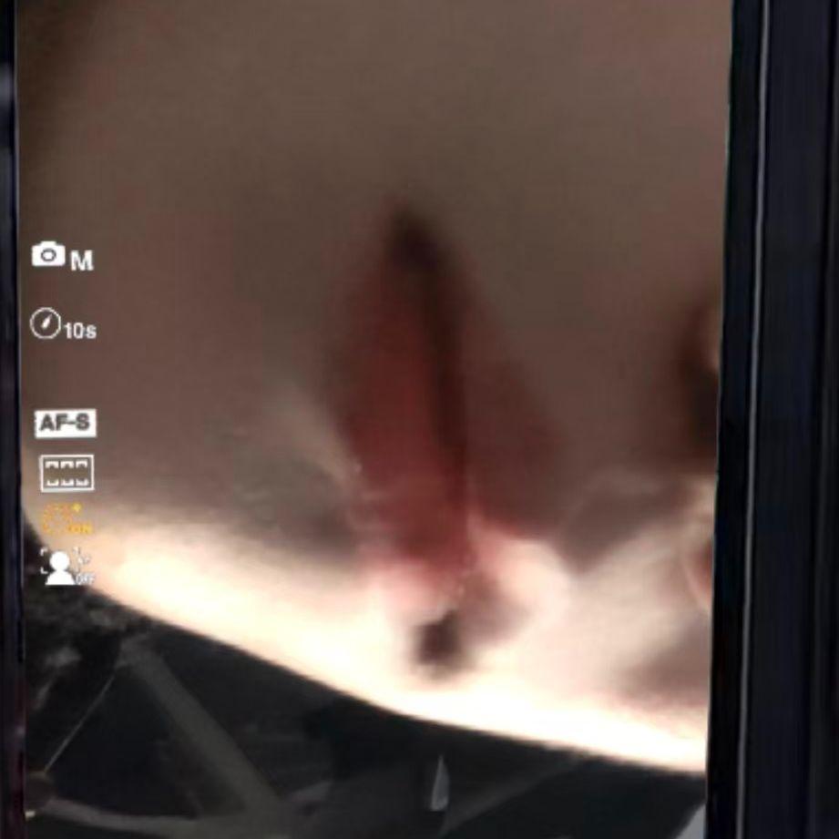 不爱了封面