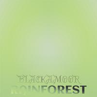 Blackamoor Rainforest