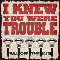 I Knew You Were Trouble