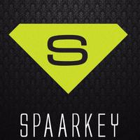 Spaarkey