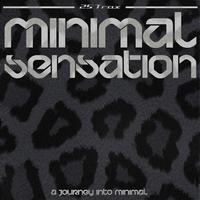 Minimal Sensation - ...A Journey Into Minimal