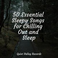 50 Essential Sleepy Songs for Chilling Out and Sleep