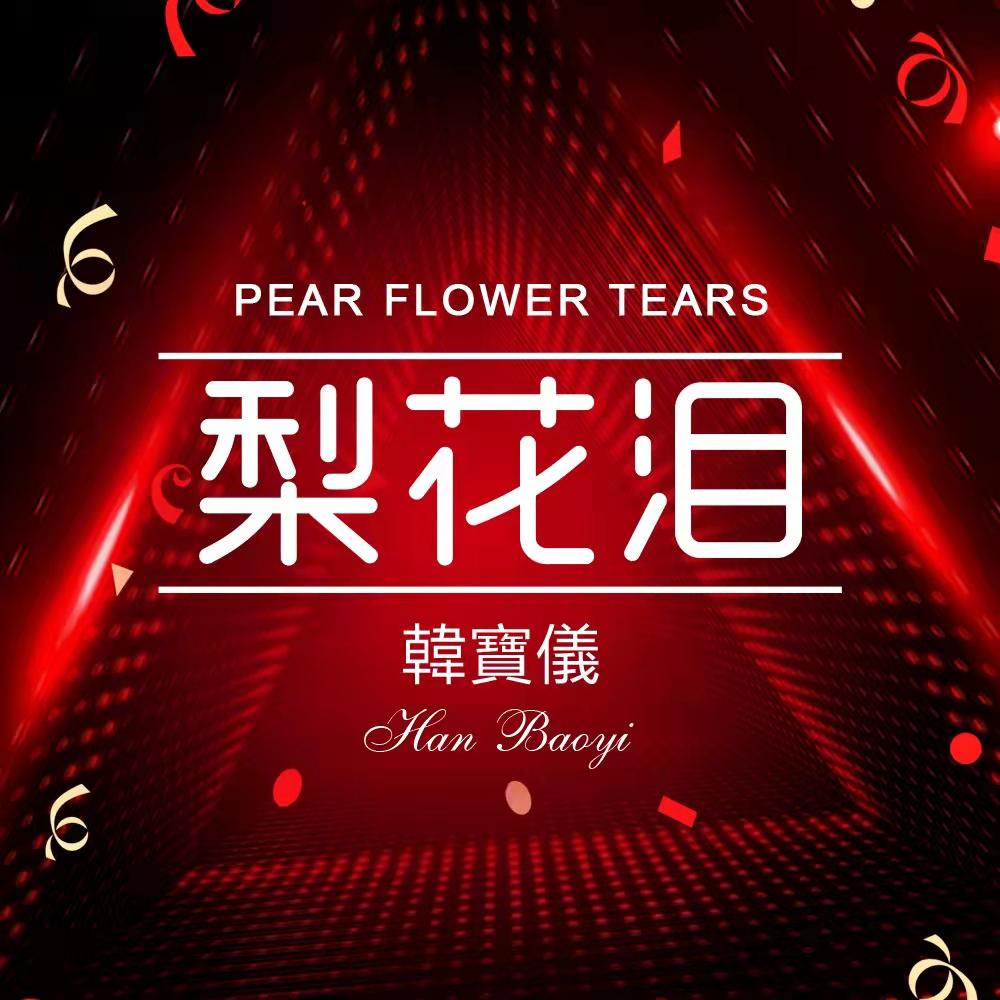 韩宝仪 ·《梨花泪 (DJ默涵版)》
