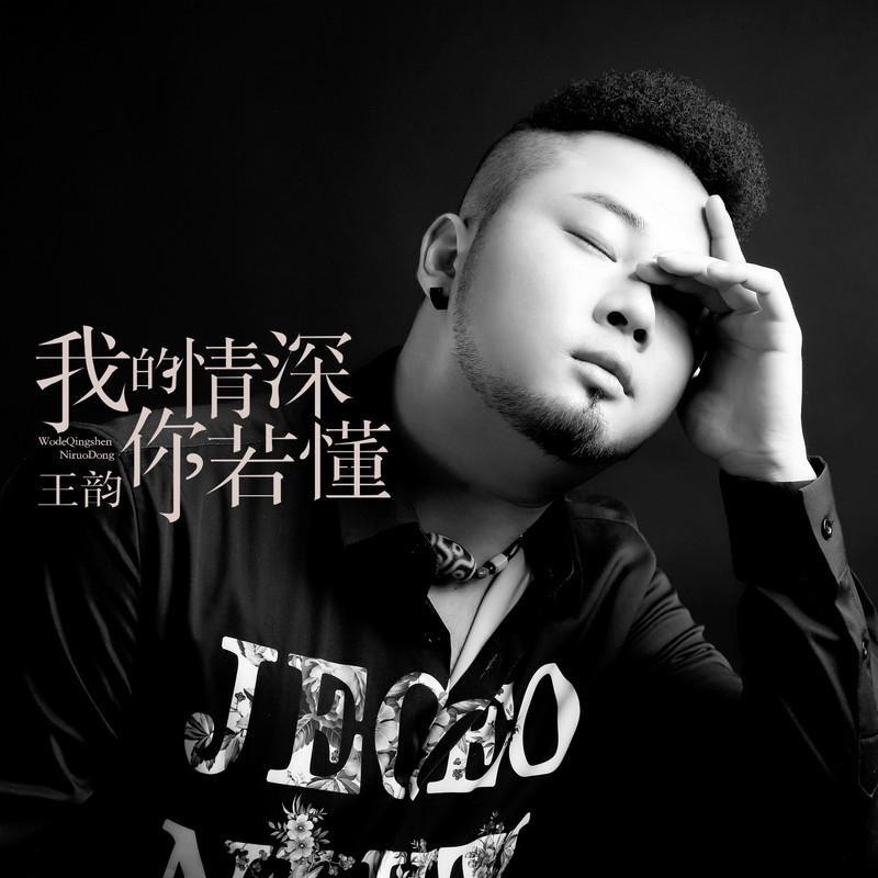我的情深你若懂 (DJ何鹏版伴奏)封面