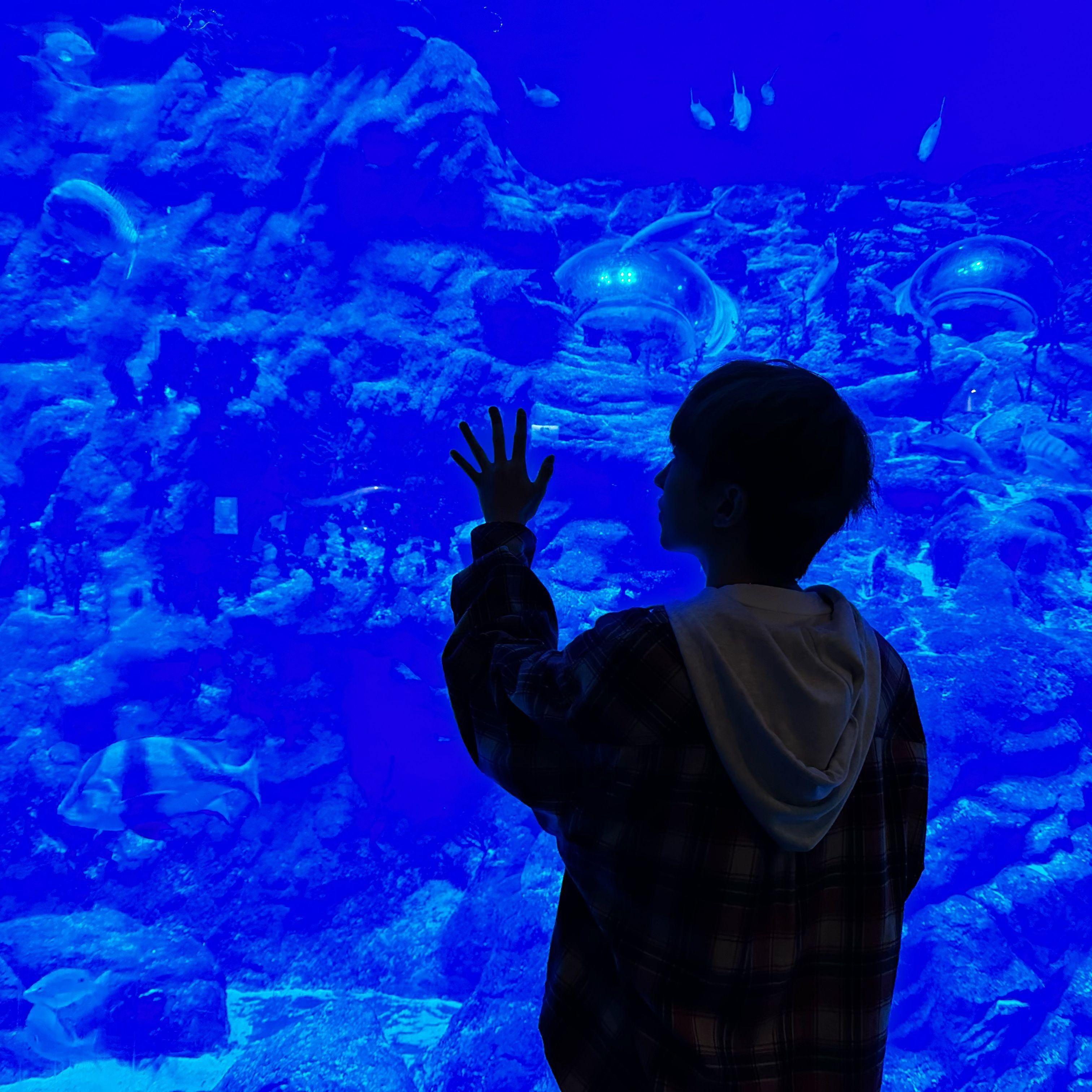 崇拜（Adoration）