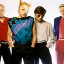 A Flock Of Seagulls