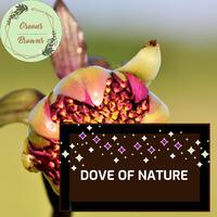 Dove of Nature