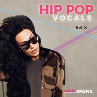 Hip Pop Vocals, Set 3