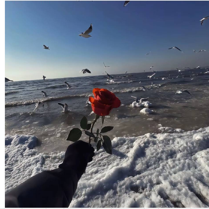 热血的光芒封面
