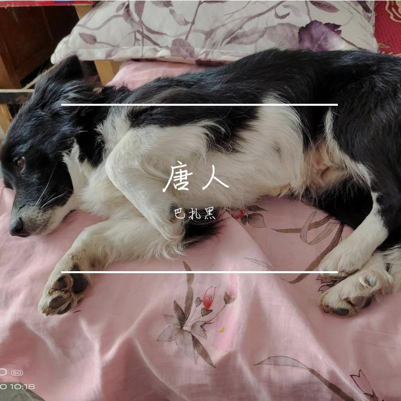 唐人 (烟酒嗓)封面