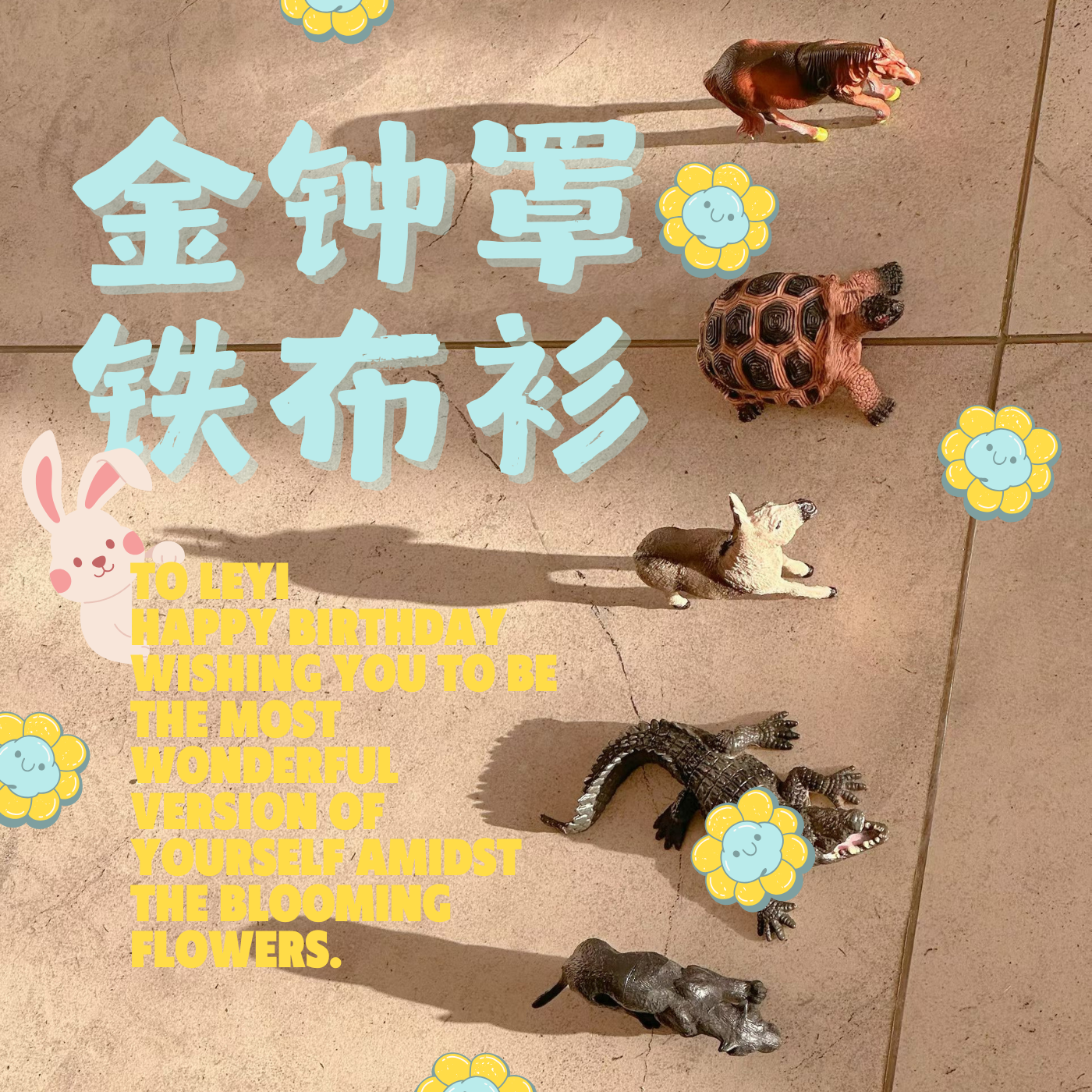 金钟罩铁布衫封面