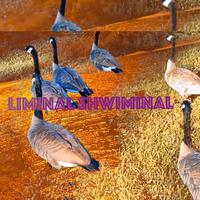 Liminal Shwiminal (feat. KaliCutThroat, fuji, Sleepy & Danny Fantasia)