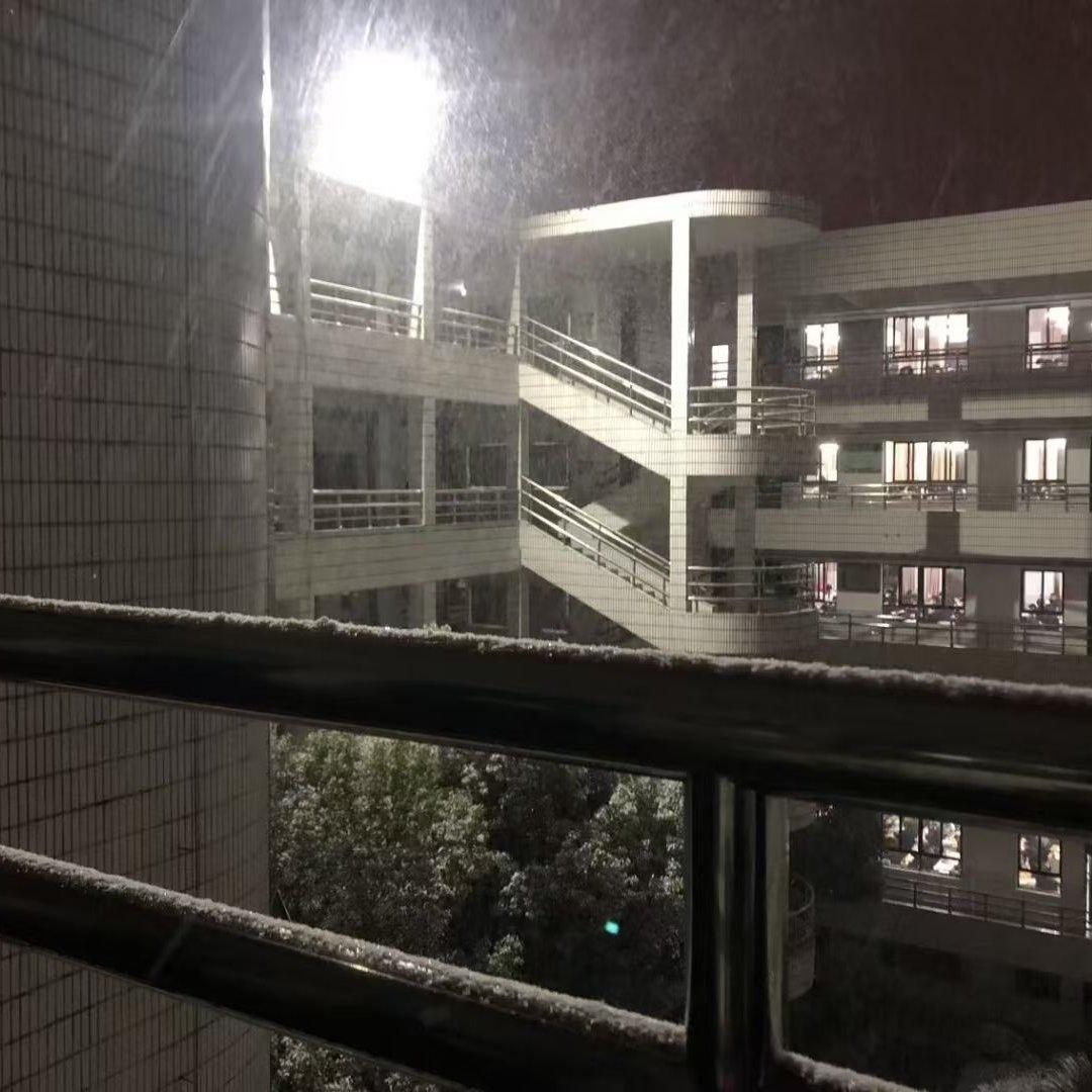 雪落南山 - 肥羊卷封面