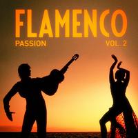 Flamenco Passion, Vol. 2 (The Art of Spanish Guitar)