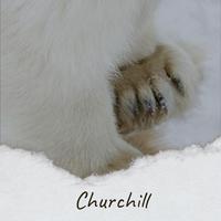 Churchill