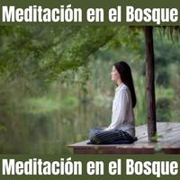 Meditación en el Bosque