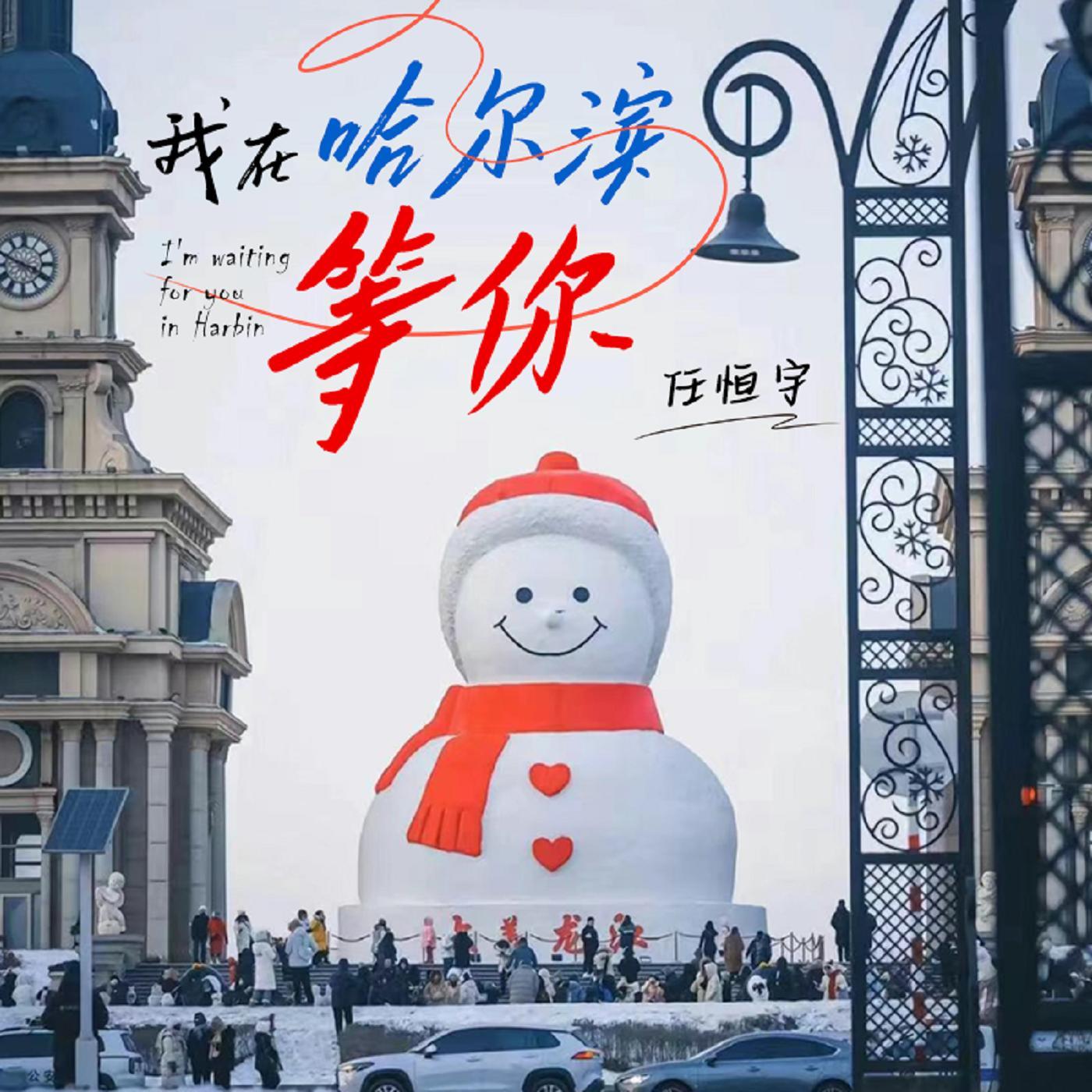 我在哈尔滨等你 (现场)封面