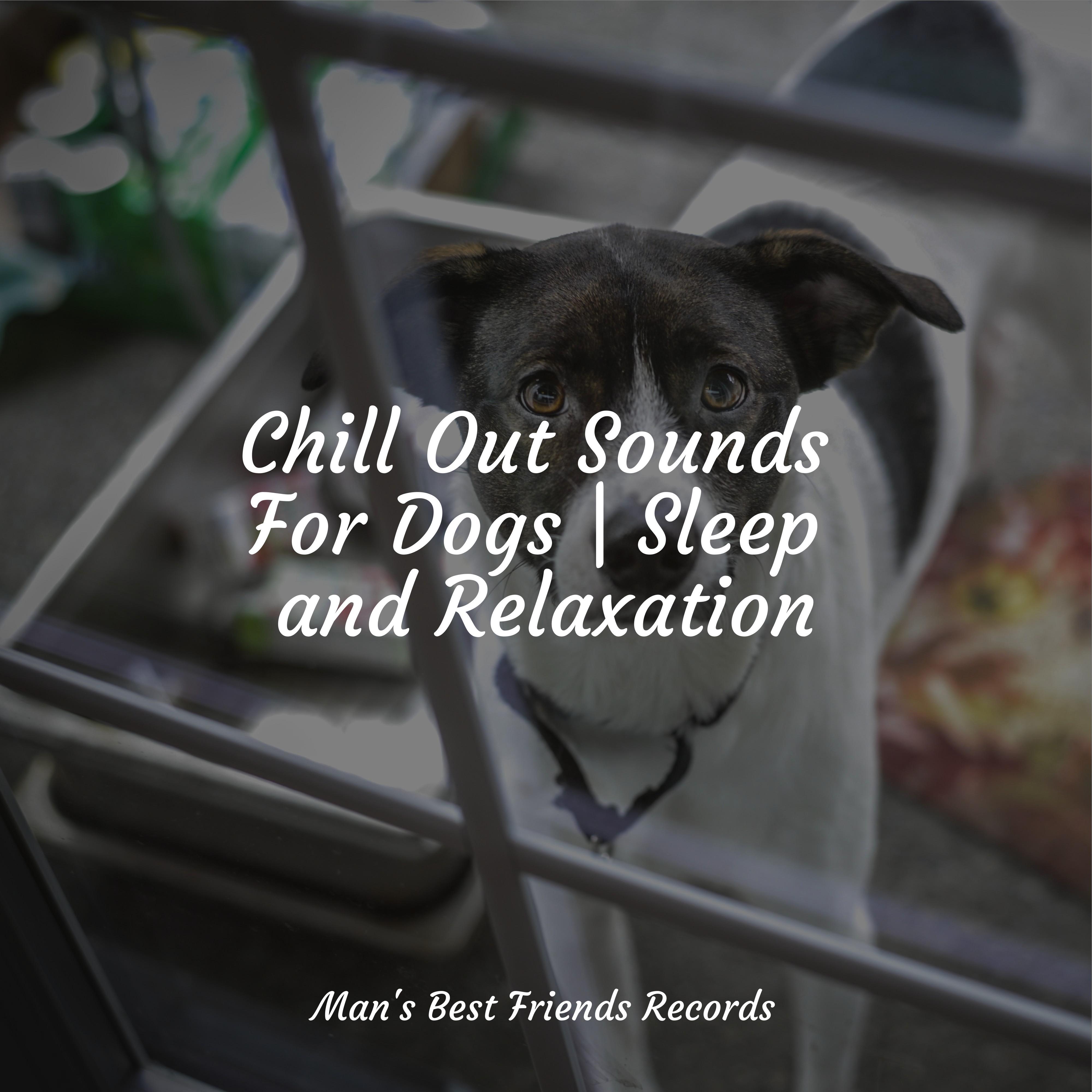 Meditating Music Official Pet Care Collection/Sleeping Music For Dogs/Sleep Music For Dogs