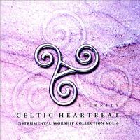 The Celtic Collection Vol 6