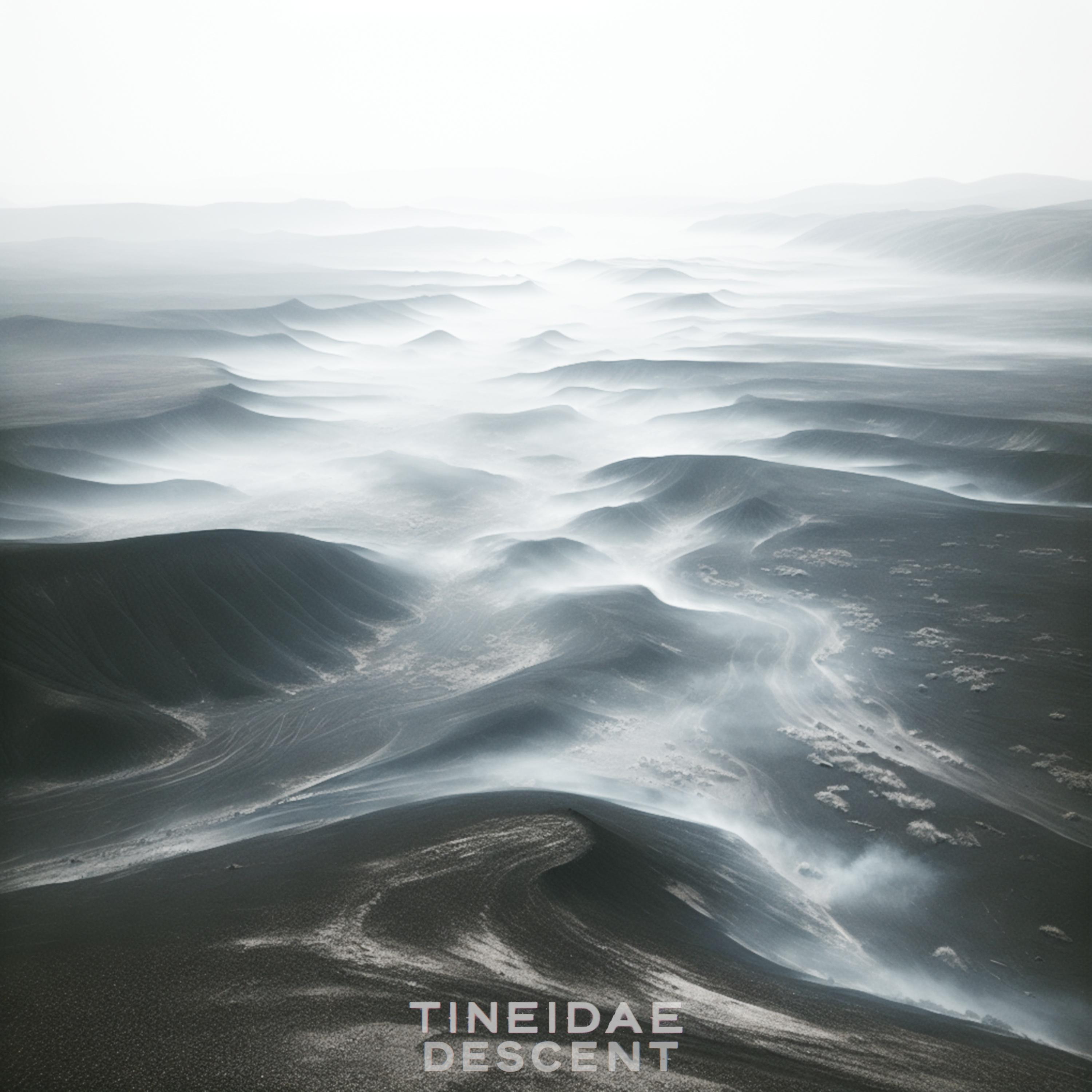 Descent_Tineidae_Descent | 在线播放_Descent歌词_Descent下载 | 网易云音乐
