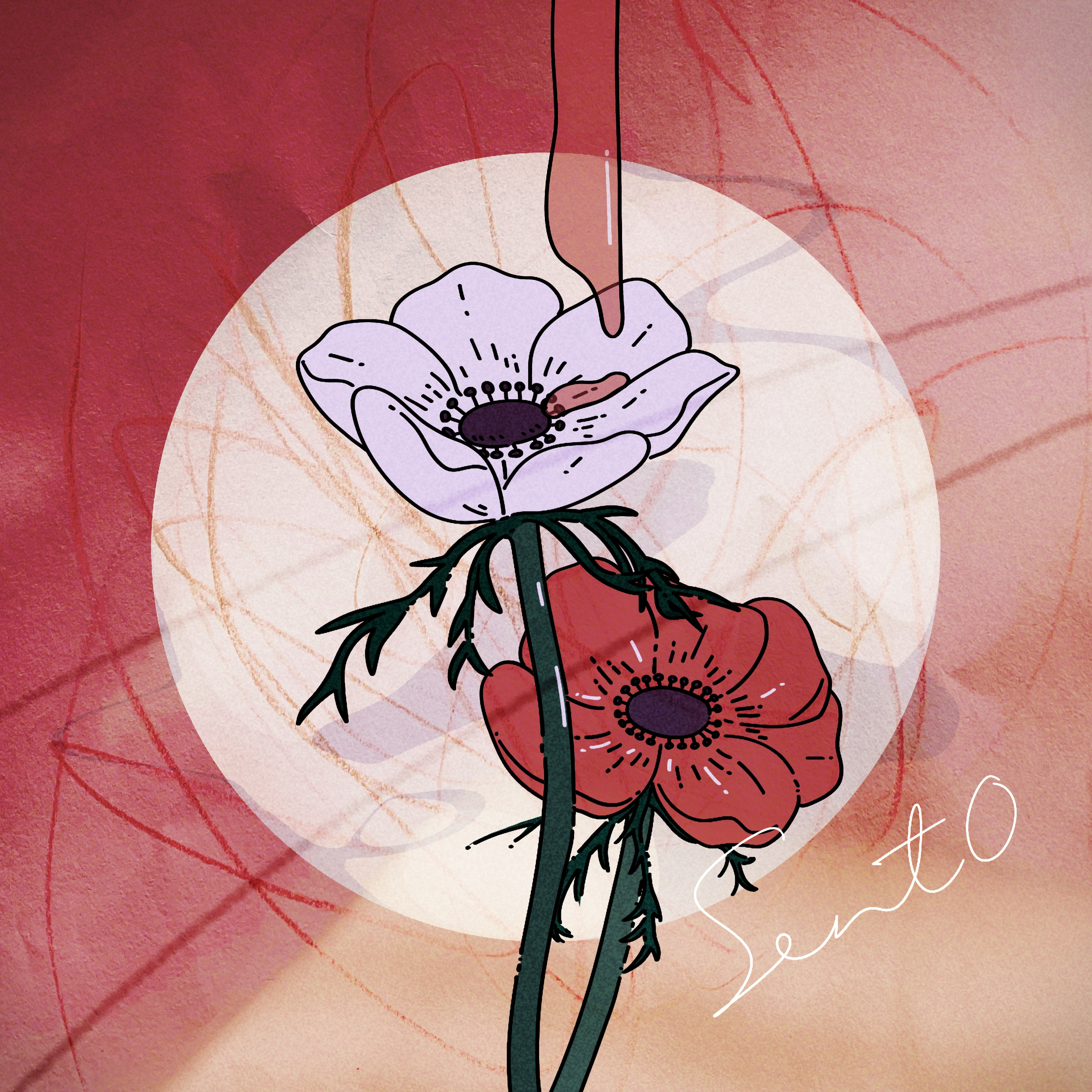 SentO (feat. 知声)