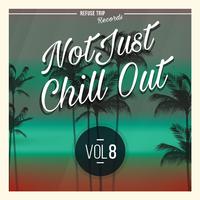 Not Just Chill Out Vol. 8