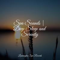 Spa Sounds | Deep Sleep and Serenity